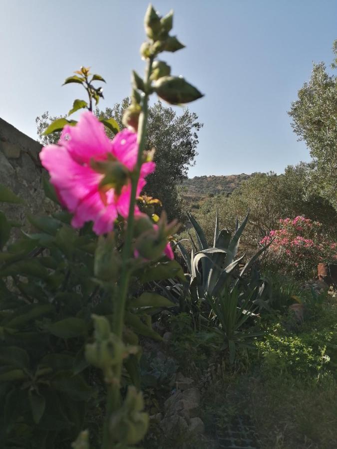 Arcadia Eressos Hotel Exterior foto